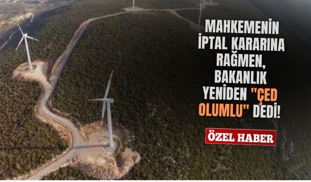 Mahkemenin iptal kararına rağmen, Bakanlık yeniden "ÇED Olumlu" dedi!