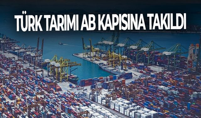 Türk tarımı AB kapısına takıldı