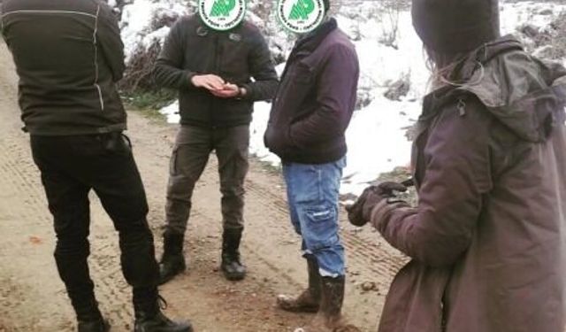 Kastamonu’da 7 yasa dışı avcıya ceza