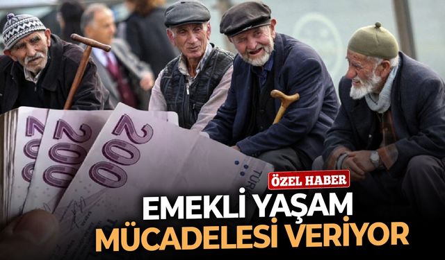 Emekli yaşam mücadelesi veriyor!