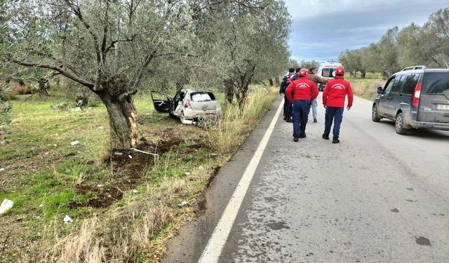 Direksiyon hakimiyetini kaybetti, ağaca çarparak durabildi