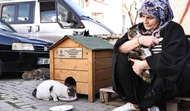 Başkan Bülent Nuri Çavuşoğlu'ndan sokak hayvanlarına destek