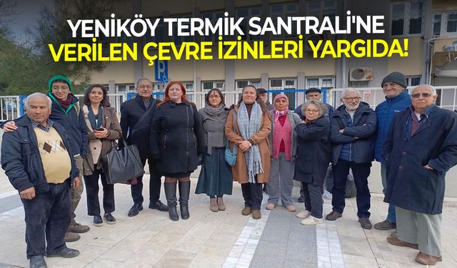 Yeniköy Termik Santrali'ne verilen çevre izinleri yargıda!