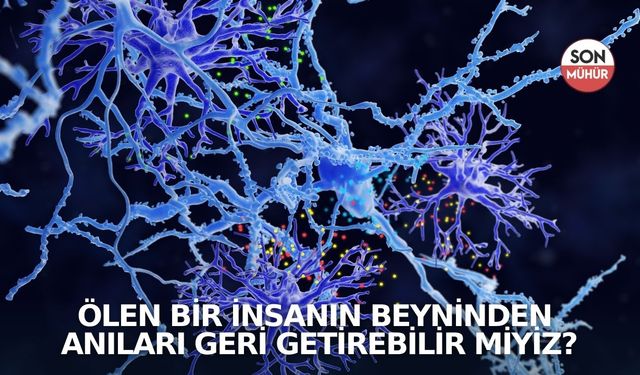 Ölen bir insanın beyninden anıları geri getirebilir miyiz?