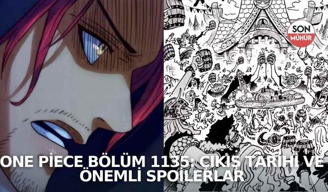 One Piece Bölüm 1135: Çıkış tarihi ve önemli spoilerlar