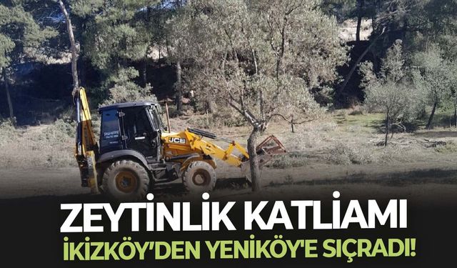 Zeytinlik katliamı İkizköy’den Yeniköy'e sıçradı!