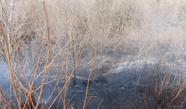 Arazide yakılan ateş ormana sıçradı