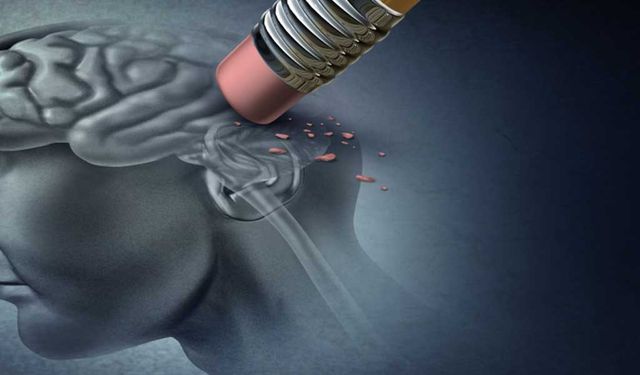 Erken tanı, Alzheimer'da hayat kurtarıyor