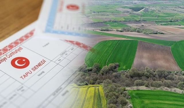 5 milyon kişiye 2B tapusu: İzmir, Manisa, Antalya, Samsun...