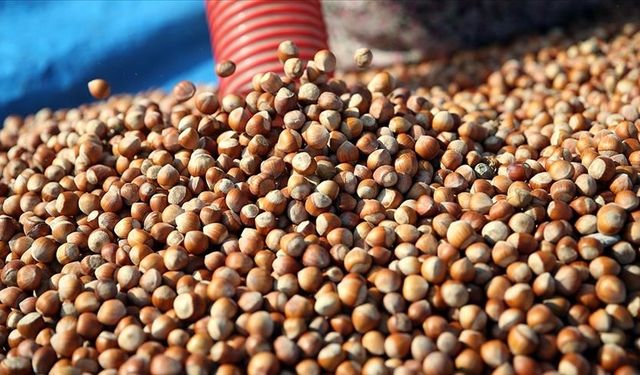 87 yıllık Türk firması iflasın eşiğinde: Tek tek satmaya başladılar!