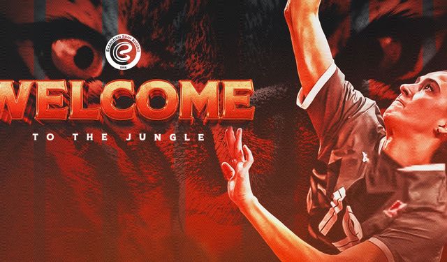 Eczacıbaşı Dynavit’ten yeni transfer