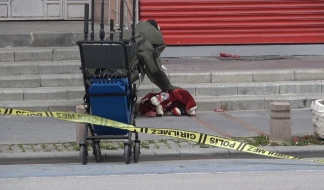 Konya’da ayı paniği: Bomba sanıldı, boş ayıcık çıktı!