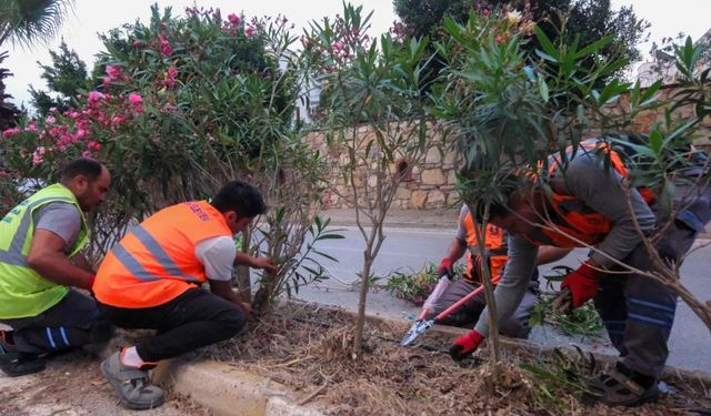 Bodrum Belediyesi ekiplerinden sahada yoğun çalışma!