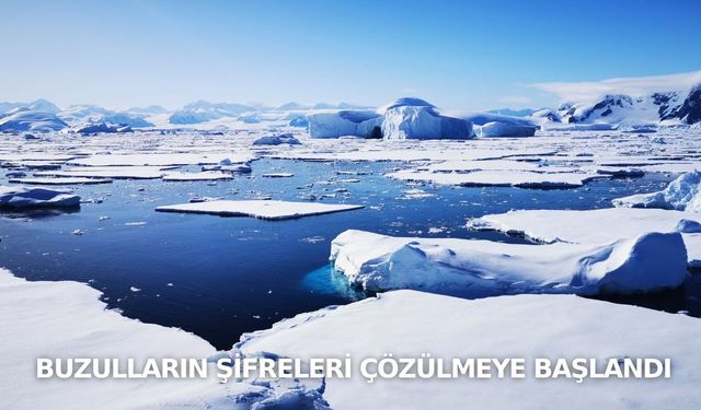 Buzulların şifreleri çözülmeye başlandı