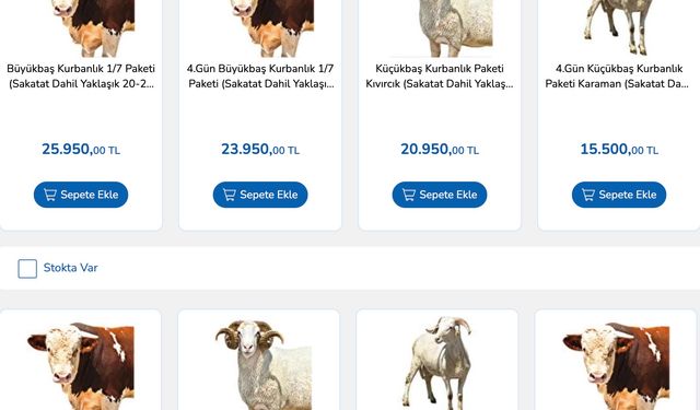 Carrefour kurbanlık fiyatları 2025! Büyükbaş ve küçükbaş
