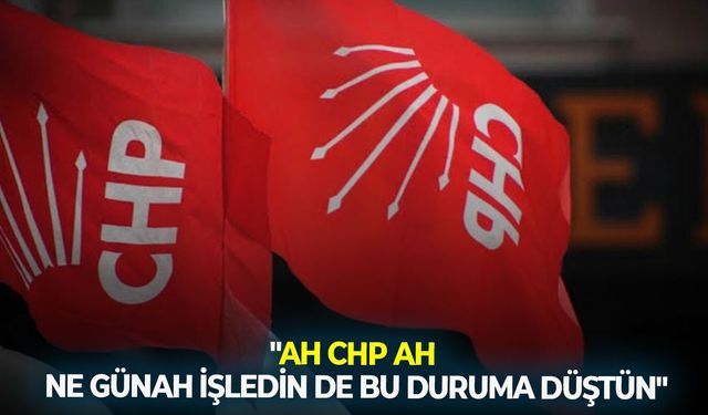 "Ah CHP ah, ne günah işledin de bu duruma düştün?"