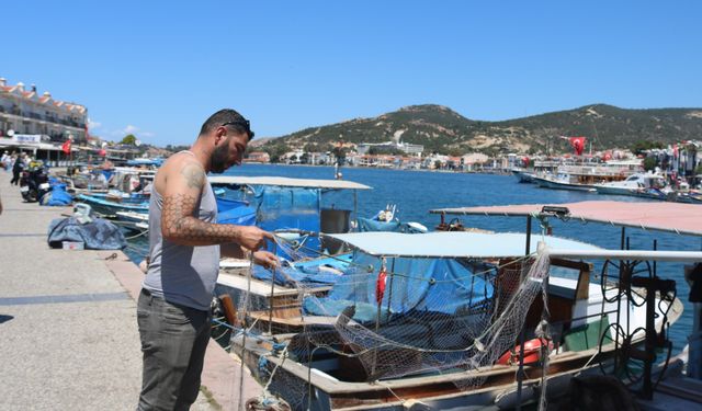 İzmir Foça'da çift etkili proje! 'Askıda balık' uygulaması başladı