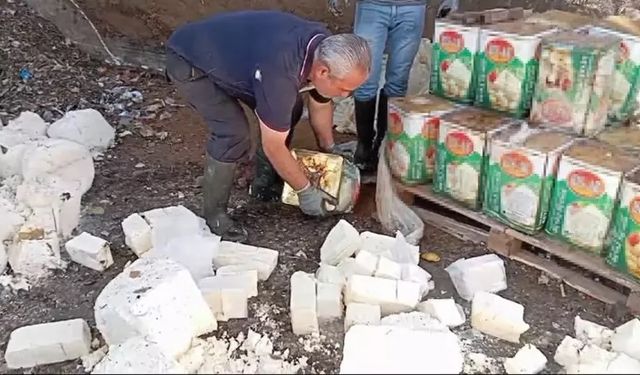 İzmir'de soğuk hava depolarında 7 ton bozuk süt ele geçirildi