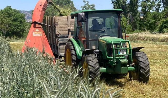 Slaj yemiyle süt rekoru: Manisalı çiftçinin doğal çözümü