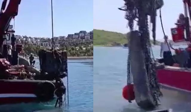 Muğla Bodrum'da deniz altından çöp dağı çıktı: Tam 130 ton!