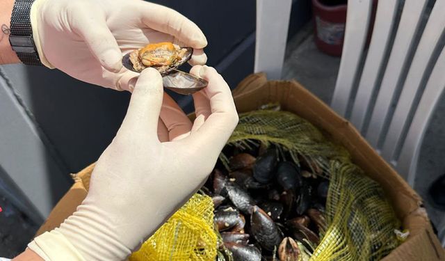 Muğla otogarında sağlık skandalı! Tonlarca bozuk midye ele geçirildi!