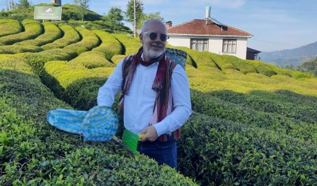 Bir şehirle susarak anlaştım: Rize