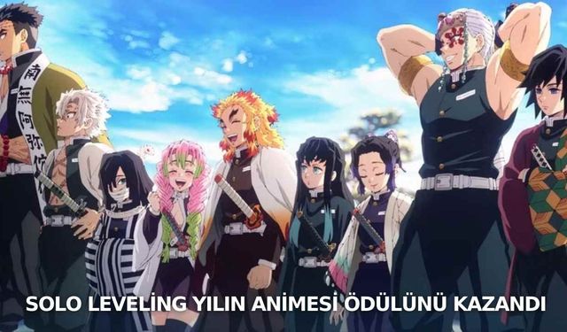 Solo Leveling yılın animesi ödülünü kazandı