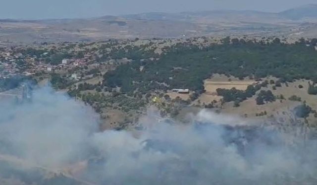 Balıkesir'de orman yangını: Müdahale sürüyor!