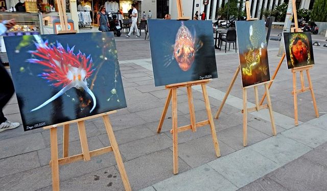 İzmir Çeşme'de su altı sergisi büyüledi!