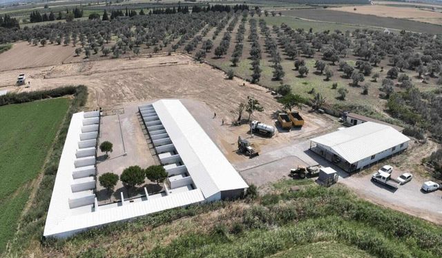 Edremit’te sokak hayvanlarına yüksek standartlı barınak