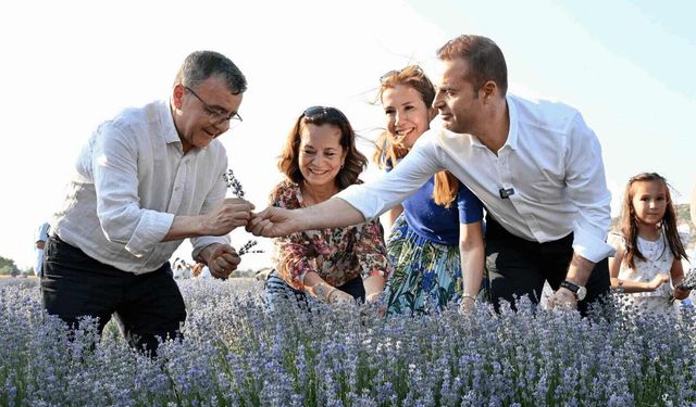 Balıkesir'de kırsaldan kent tanıtımına: "Mor güzellik"