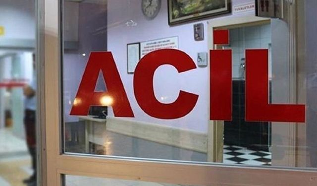 Manisa'da hayvanın boynuz darbesi sonucu ağır yaralanan iş insanı kurtarılamadı!