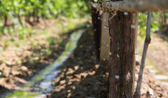 Manisa'da sulama hamlesi: 8.5 milyar TL'lik katkı bekleniyor!