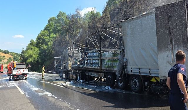 Motor yağı yüklü TIR alev aldı, 10 dönüm orman yandı!