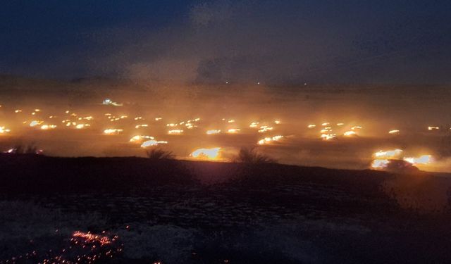50 dönüm arazi kül oldu! Yangın sebebi elektrik direğinden çıkan kıvılcımlar mı?