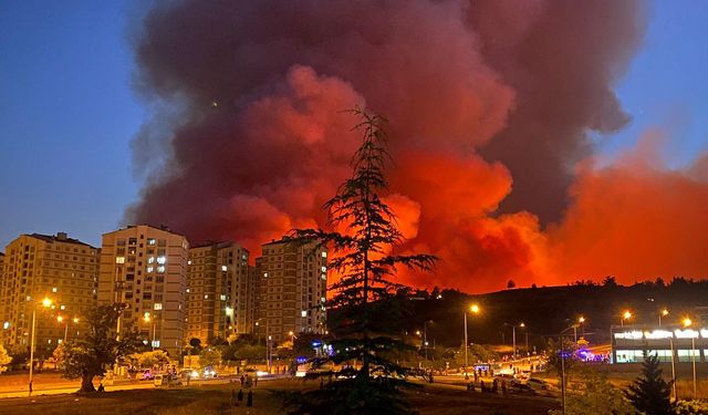 Bursa’da yangın genişliyor… Bir mahalle boşaltıldı!