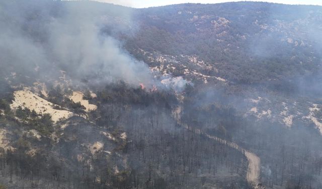 Eskişehir'den Afyon'a sıçrayan yangın kısmen kontrol altında!