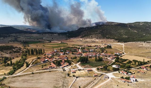 Alevler Sarıcaova’ya dayandı: Seyitgazi’de yangın alarmı!