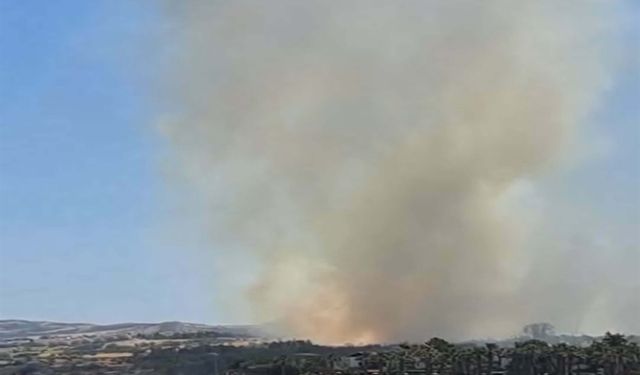 Gelibolu’da yangın tehlikesi: Alevler kısa sürede yayıldı!