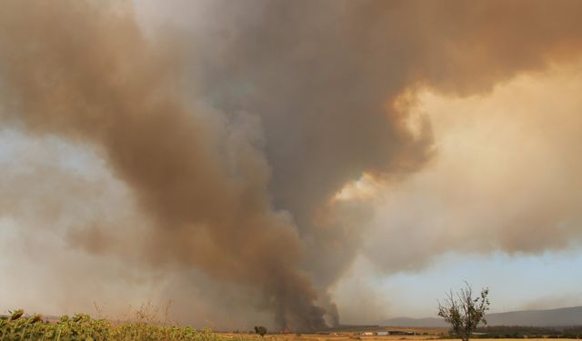 Çanakkale'de yangın etkisi büyüyor! Hayvanlar koruma altına alındı