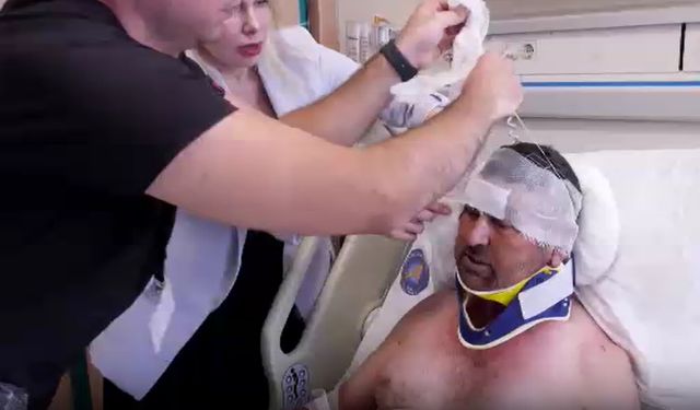 Kaçan aslan tarafından yaralanan kişinin sağlık durumu hakkında son açıklama! Gözünü kaybedebilirmiş