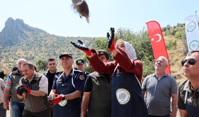 Kenelere karşı doğadan takviye: Afyonkarahisar’da bin keklik göreve başladı