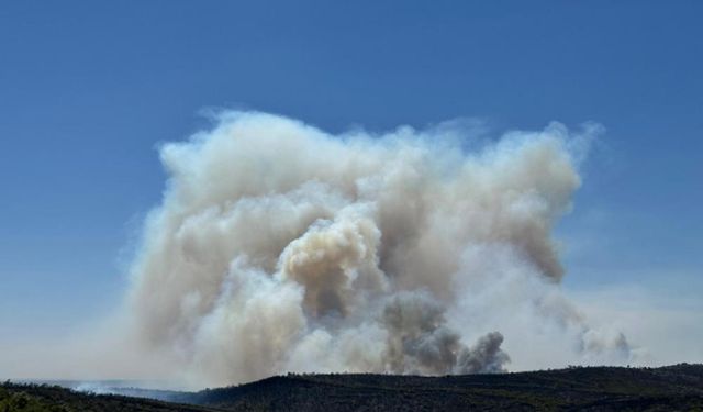 Uşak’ta orman yangını: Bir köy tahliye edildi!