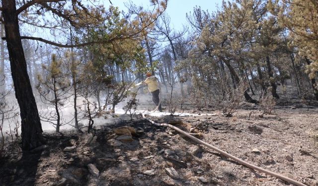 3 günlük yangınla amansız mücadele: Çalışmalar devam ediyor!