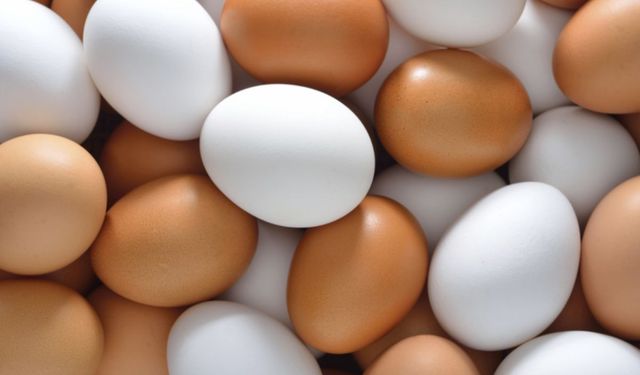 Kahverengi yumurta daha sağlıklı sanılıyordu: Beyaz yumurtayla arasındaki gerçek fark ne?
