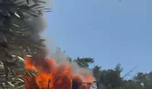 Bodrum'da ev yangını orman felaketine dönüşmeden söndürüldü!