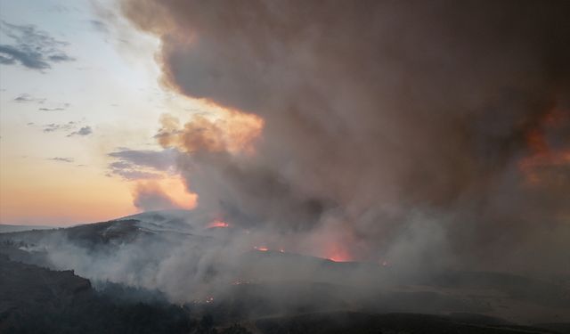 Çanakkale’de 4 yangın 5 bin hektarlık ormanı yaktı