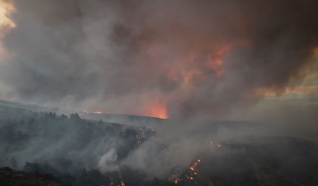 Çanakkale Gelibolu'da yangın sürüyor! Endişe veren manzaralar