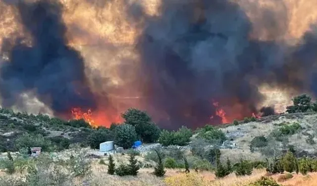 Çanakkale’de çıkan orman yangını saatler sonra kontrol altında!