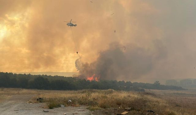 Çanakkale'deki orman yangını 22,5 saatte kontrol altında